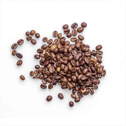 coffee seed