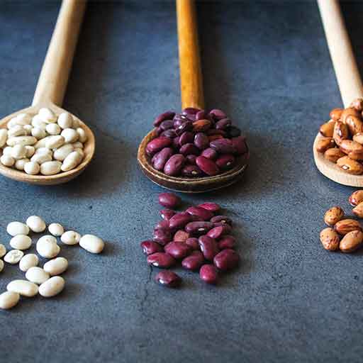 pulse seeds